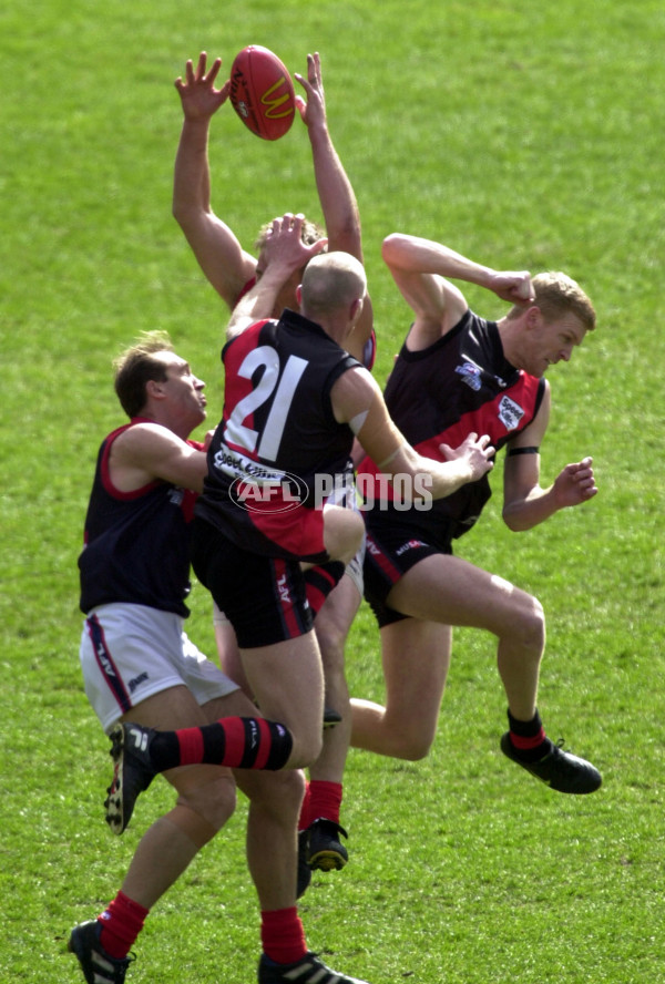 AFL 2000 Grand Final - Essendon v Melbourne - 151847