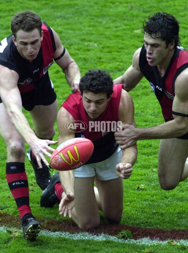 AFL 2000 Grand Final - Essendon v Melbourne - 151858
