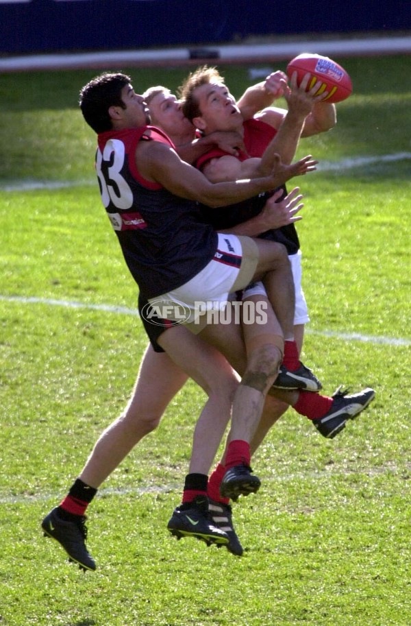 AFL 2000 Grand Final - Essendon v Melbourne - 151875