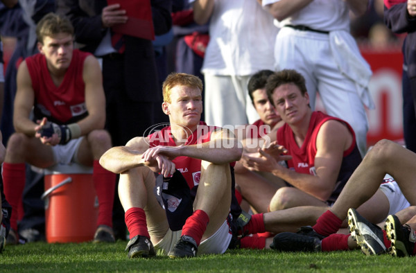 AFL 2000 Grand Final - Essendon v Melbourne - 151886