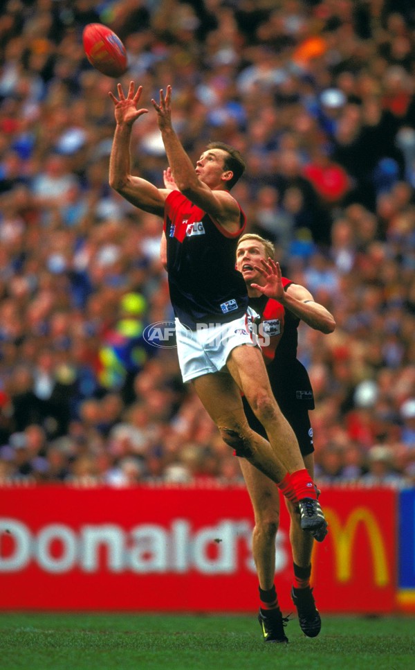 AFL 2000 Grand Final - Essendon v Melbourne - 151961