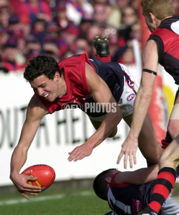 AFL 2000 Grand Final - Essendon v Melbourne - 151985