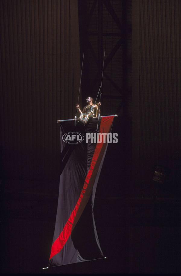 AFL 2000 Grand Final - Essendon v Melbourne - 152025