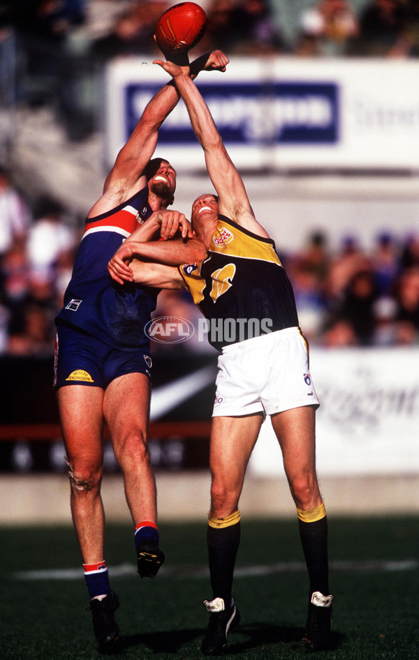 AFL 1999 Rd 21 - Western Bulldogs v West Coast - 163780