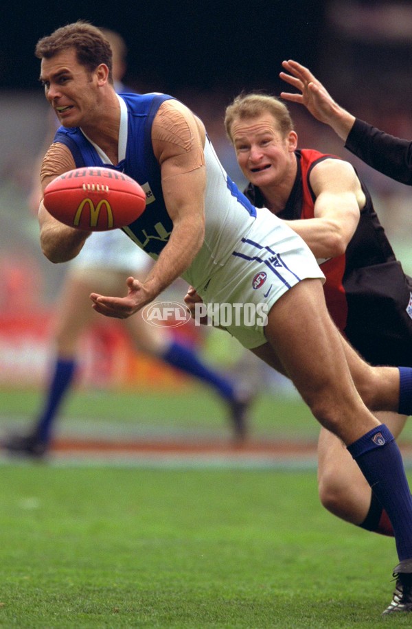 AFL 2000 1st Qualifying Final - Essendon v Kangaroos - 164645