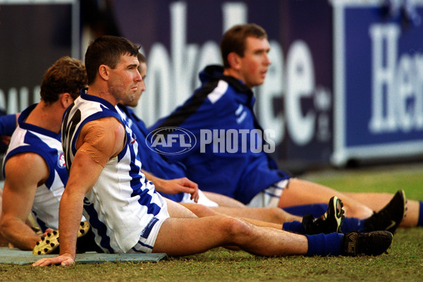 AFL 2000 Rd 15 - Western Bulldogs v Kangaroos - 164730