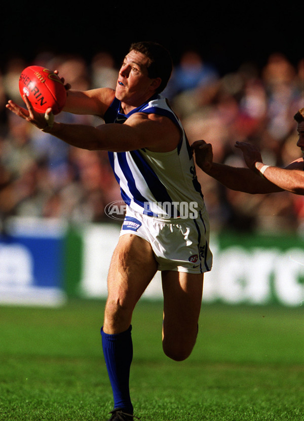 AFL 2000 Rd 15 - Western Bulldogs v Kangaroos - 164729