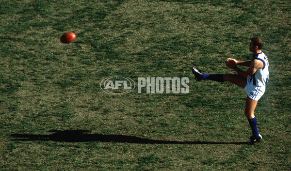 AFL 2000 Rd 15 - Western Bulldogs v Kangaroos - 164739