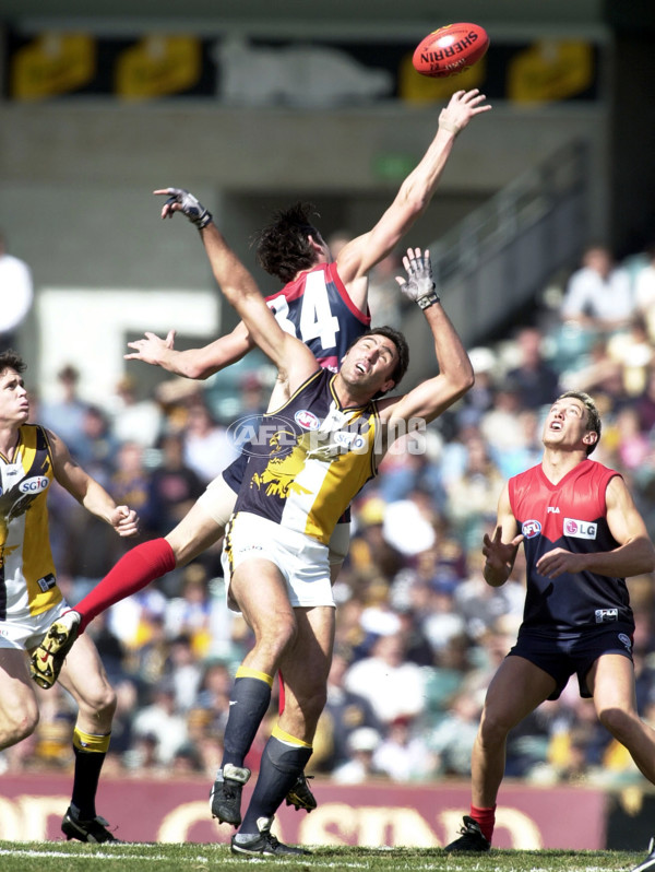 AFL 2000 Rd 22 - West Coast v Melbourne - 165738