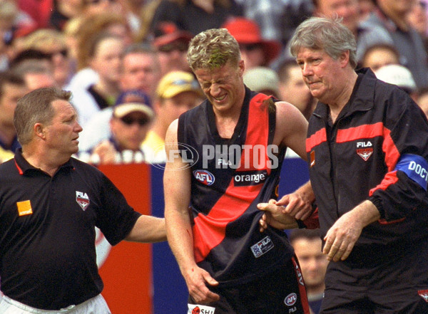 AFL 2001 1st Preliminary Final - Essendon v Hawthorn - 166174
