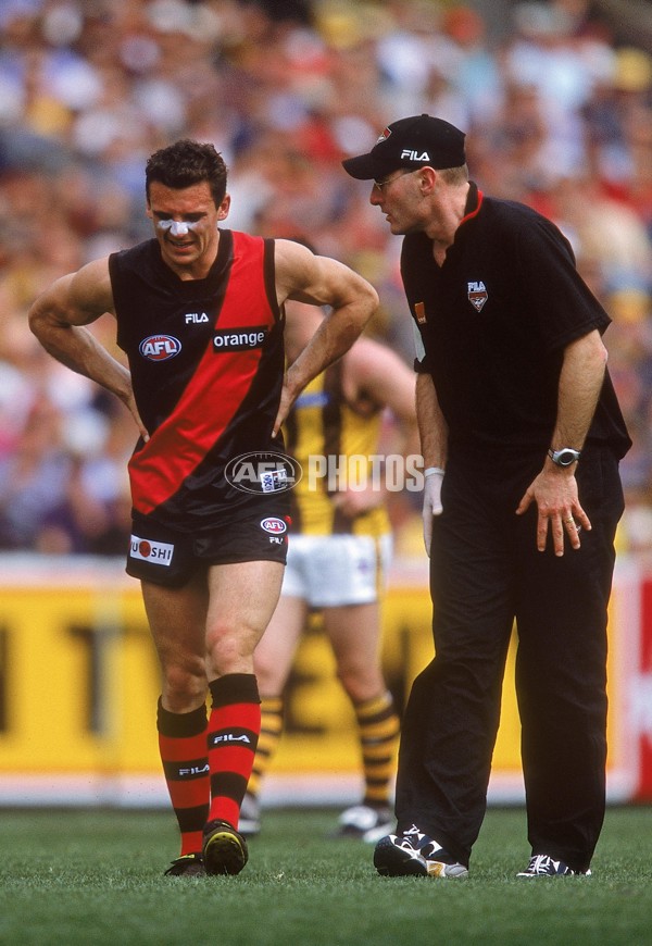 AFL 2001 1st Preliminary Final - Essendon v Hawthorn - 166197