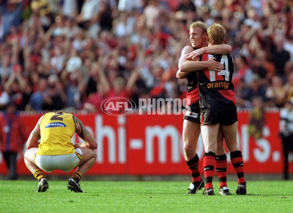 AFL 2001 1st Preliminary Final - Essendon v Hawthorn - 166213