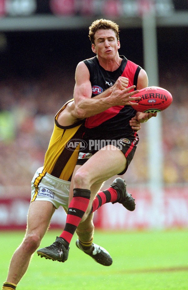 AFL 2001 1st Preliminary Final - Essendon v Hawthorn - 166212