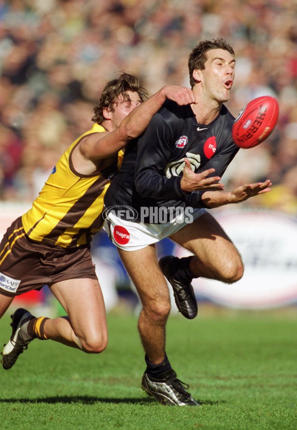 AFL 2001 Rd 17 - Hawthorn v Carlton - 166218