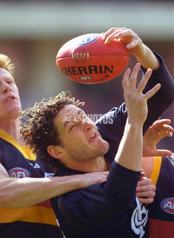 AFL 2001 1st Elimination Final - Carlton v Adelaide - 166240