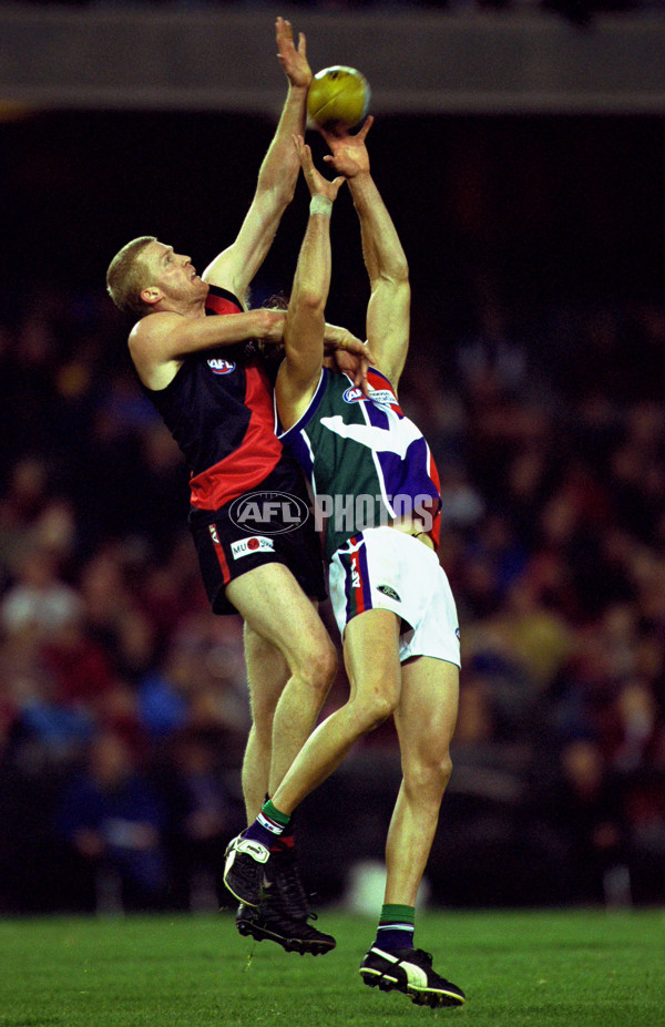 AFL 2001 Rd 13 - Essendon v Fremantle - 166248