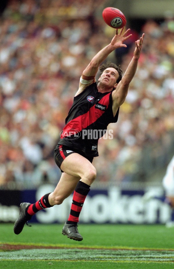 AFL 2001 1st Preliminary Final - Essendon v Hawthorn - 166206