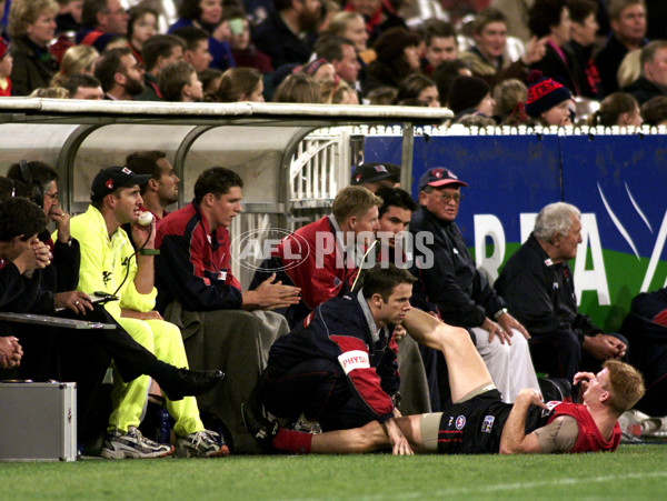 AFL 2001 Rd 7 - Melbourne v Western Bulldogs - 166387