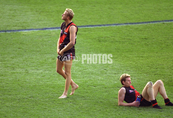 AFL 2001 Grand Final - Essendon v Brisbane - 166366