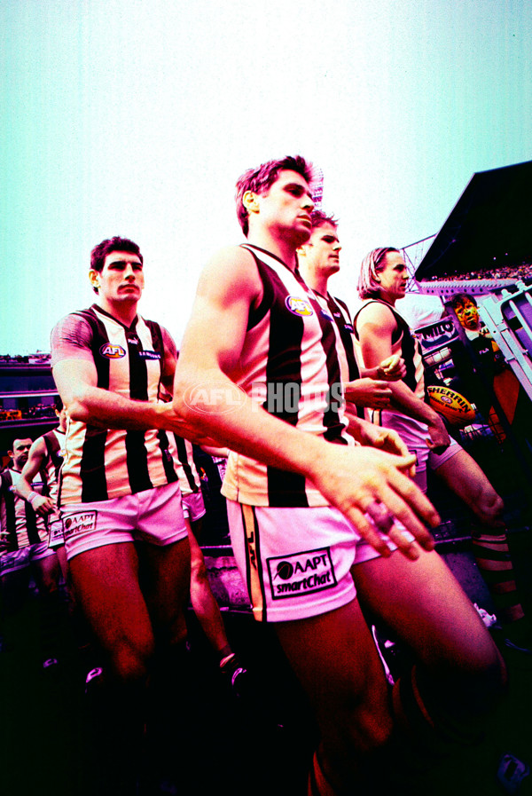 AFL 2001 1st Preliminary Final - Essendon v Hawthorn - 166447