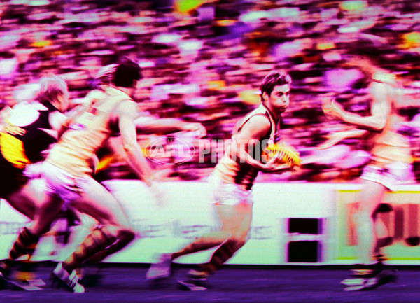 AFL 2001 1st Preliminary Final - Essendon v Hawthorn - 166448