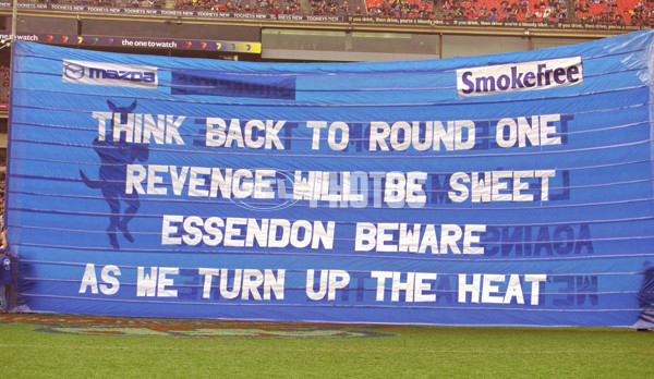 AFL 2001 Rd 16 - Essendon v Kangaroos - 166438