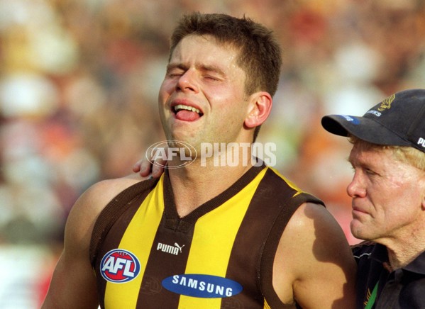 AFL 2001 1st Preliminary Final - Essendon v Hawthorn - 166450