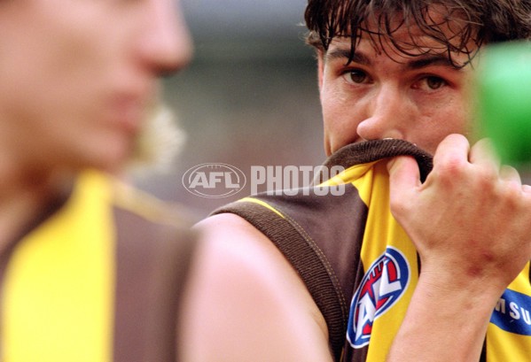 AFL 2001 1st Preliminary Final - Essendon v Hawthorn - 166449