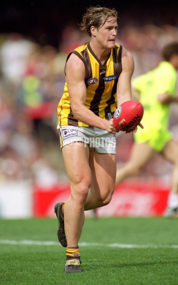 AFL 2001 1st Preliminary Final - Essendon v Hawthorn - 167271