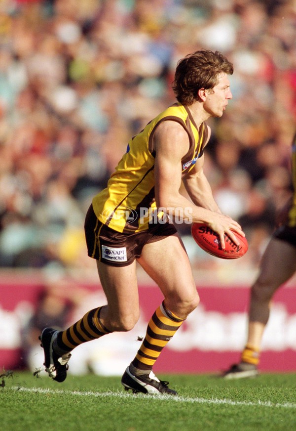 AFL 2001 Rd 17 - Hawthorn v Carlton - 167209