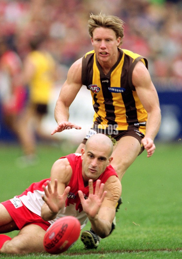 AFL 2001 Rd 15 - Hawthorn v Sydney - 168224