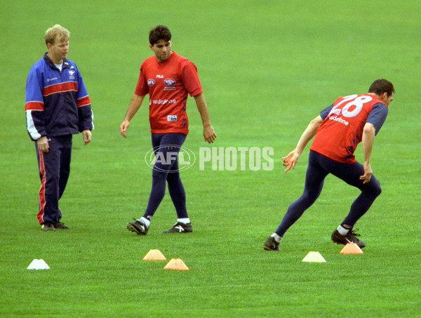 AFL 2001 Media - Western Bulldogs Training 310501 - 168489