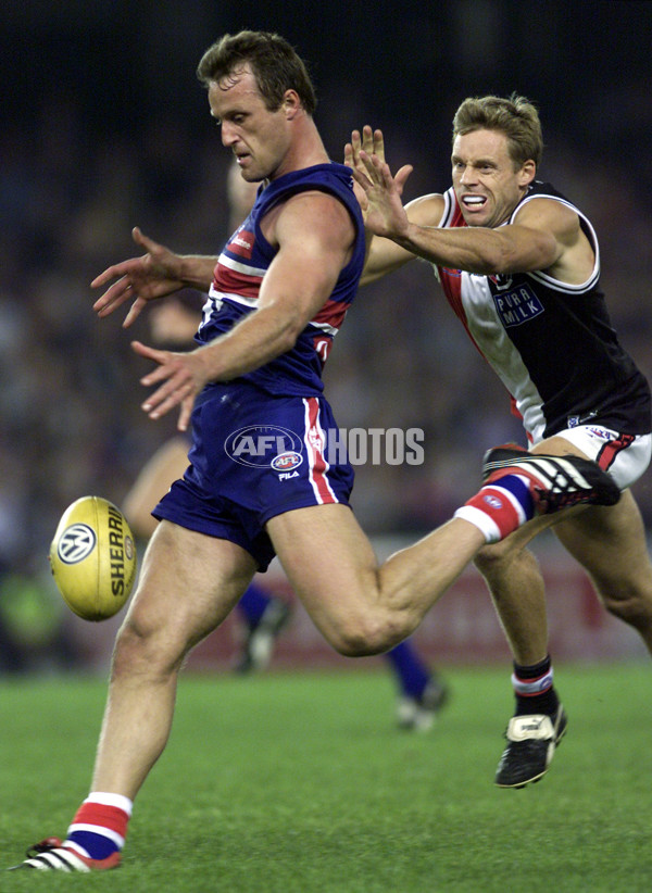 AFL 2001 Rd 1 - St Kilda v Western Bulldogs - 168513