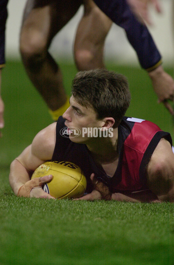 AFL 2001 Rd 21 - West Coast v Essendon - 168890