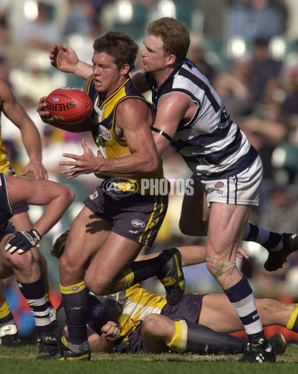 AFL 2001 Rd 16 - West Coast v Geelong - 168910