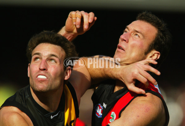 AFL 2003 Rd 20 - Essendon v Richmond - 170653