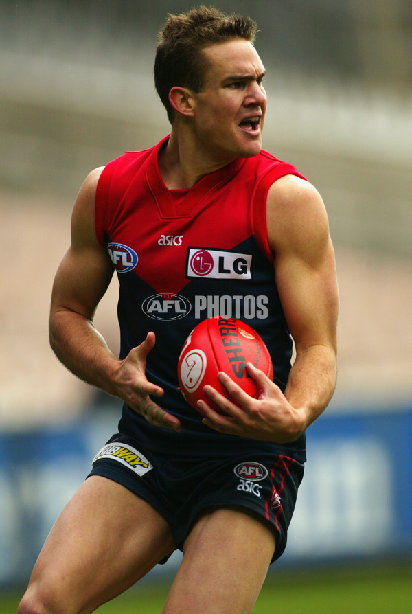 AFL 2003 Rd 22 - Melbourne v Sydney - 170760