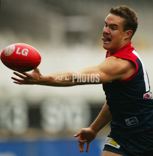 AFL 2003 Rd 22 - Melbourne v Sydney - 170768