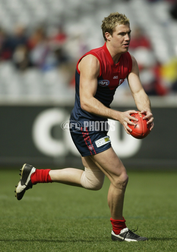 AFL 2003 Rd 22 - Melbourne v Sydney - 170806