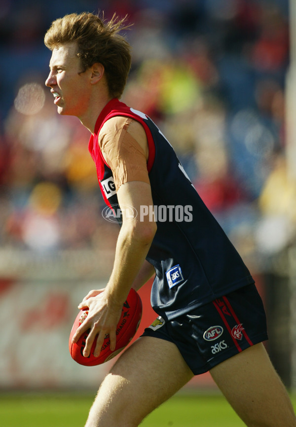 AFL 2003 Rd 22 - Melbourne v Sydney - 170813