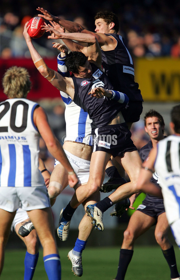 AFL 2004 Rd 16 - Carlton Blues v Kangaroos - 172871