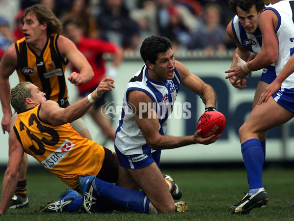 AFL 2004 Rd 17 - Hawthorn v Kangaroos - 172989