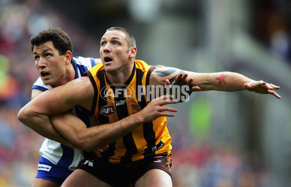 AFL 2004 Rd 17 - Hawthorn v Kangaroos - 172999