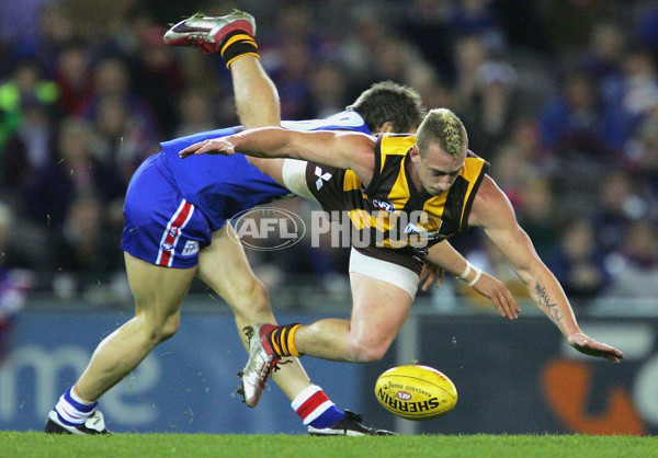 AFL 2004 Rd 19 - Western Bulldogs v Hawthorn - 173149