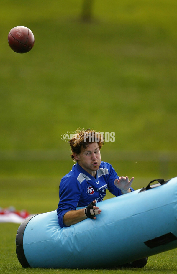 AFL 2004 Media - Kangaroos Training 040804 - 173129