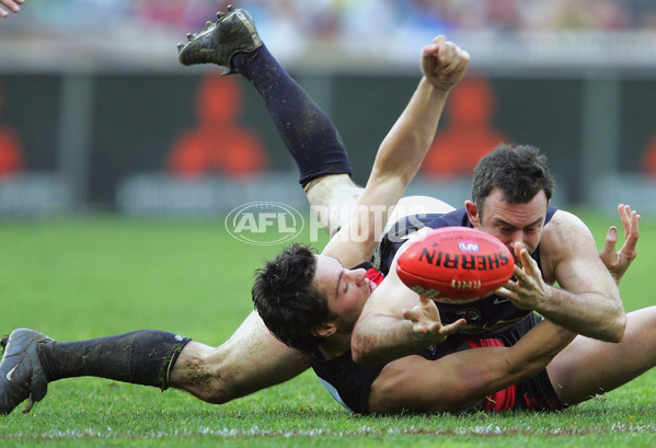 AFL 2004 Rd 19 - Essendon v Carlton Blues - 173145