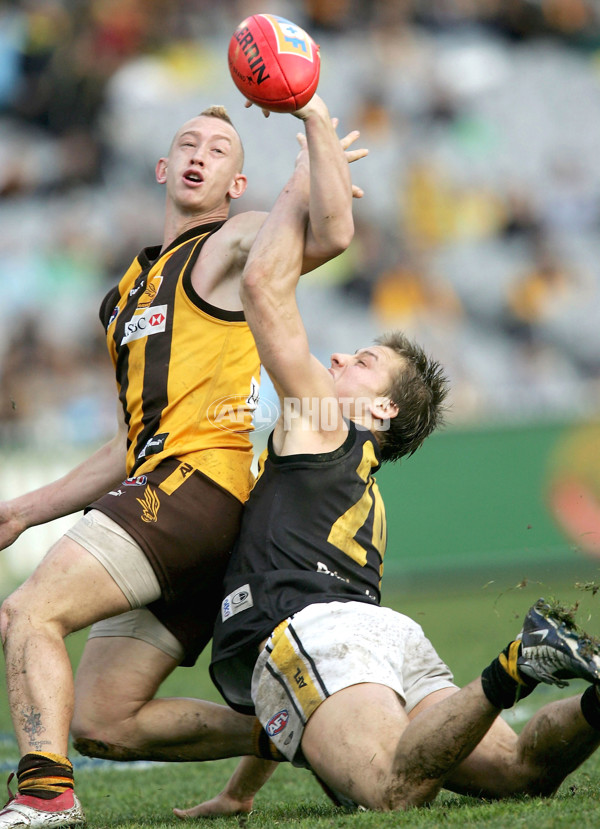 AFL 2004 Rd 21 - Hawthorn v Richmond - 173355