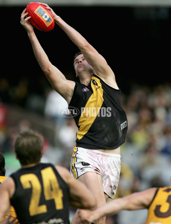 AFL 2004 Rd 21 - Hawthorn v Richmond - 173353