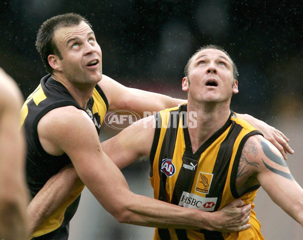 AFL 2004 Rd 21 - Hawthorn v Richmond - 173354