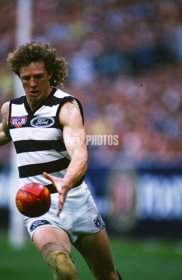 1995 AFL Grand Final - Carlton v Geelong - 20680